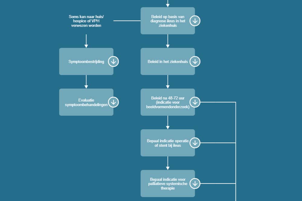 Eerste beslisboom diagnostiek en behandeling van ileus in palliatieve fase